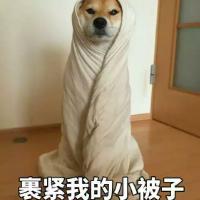 我也不知道叫啥名儿