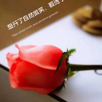 用户239185286