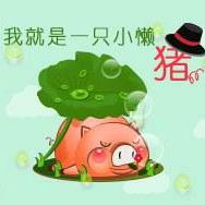 岚梅