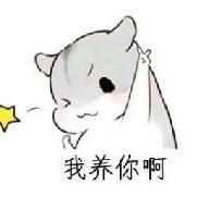 2023非虚构成长的时差