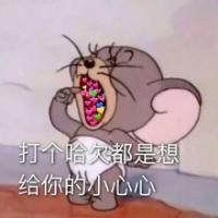 偷吃柿子的猫