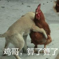 善解人衣