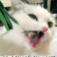 取名就取个性长名字名字太短别